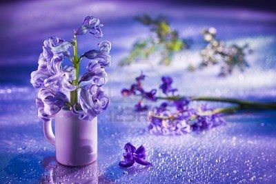 still-life-with-hyacinth-flower-in-gentle-violet-colors-and-magic-bokeh.jpg